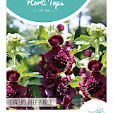 HT Stokroos Zaden Chater's Deep Purple