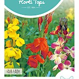 HT Muurbloem Zaden Fair Lady Gemengd