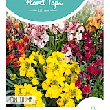 HT Muurbloem Zaden Tom Thumb Gemengd