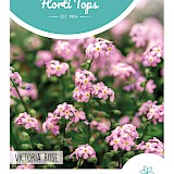 HT Vergeet-me-nietje Zaden Zaden Victoria Rose