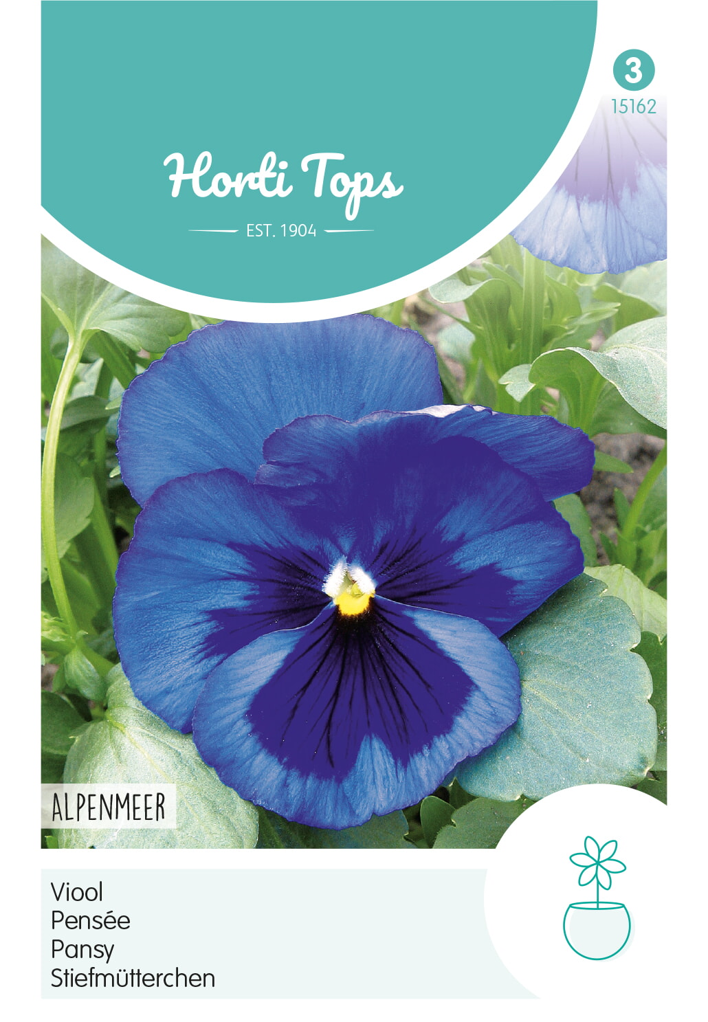 HT Viool Zaden Alpenmeer