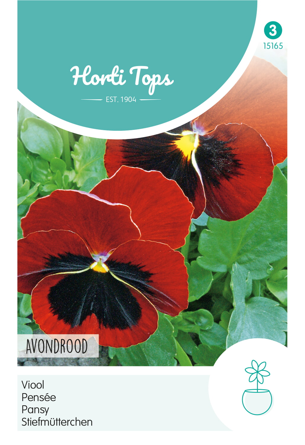 HT Viool Zaden Avondrood