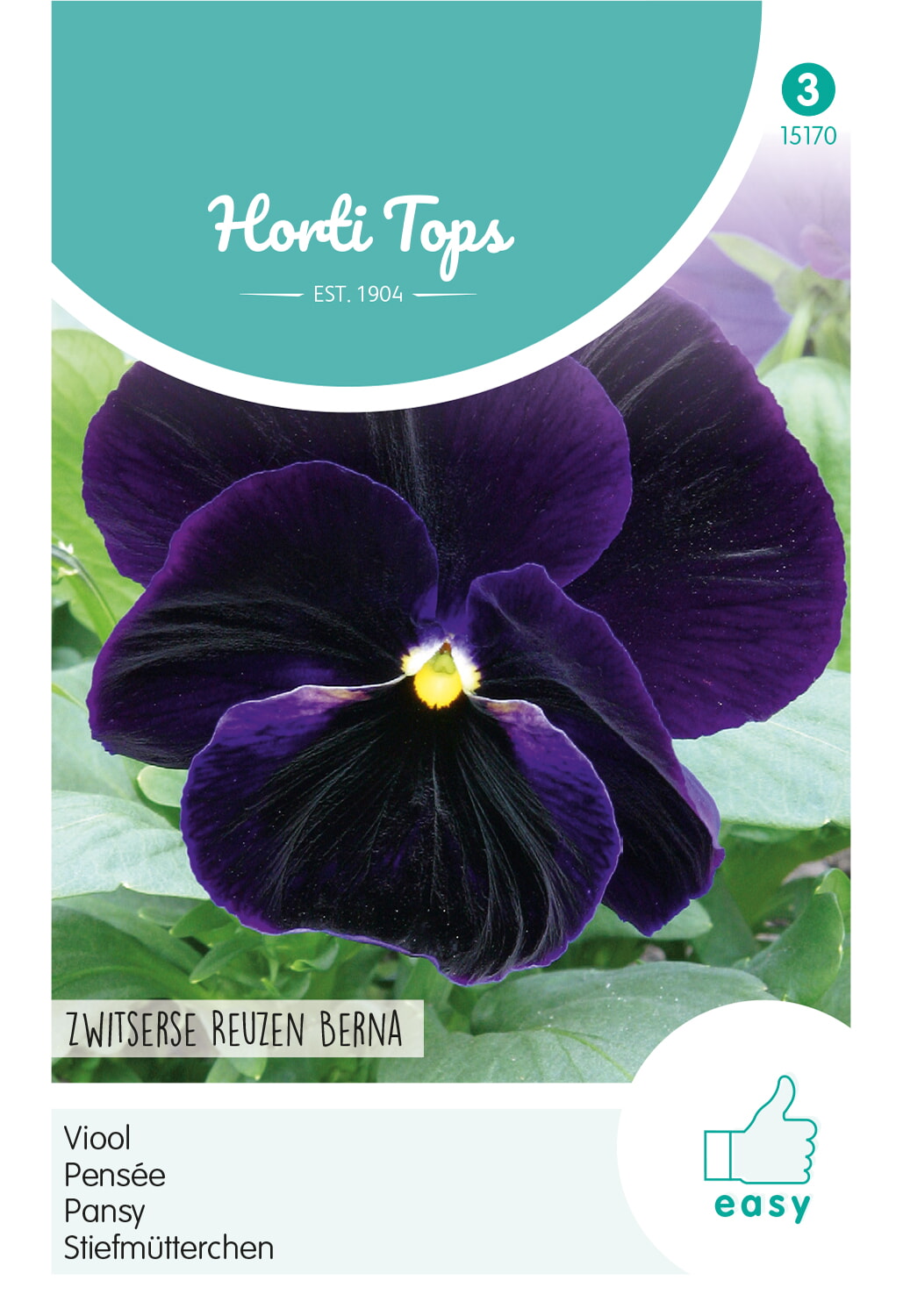 HT Viool Zaden Zwitserse Reuzen Berna