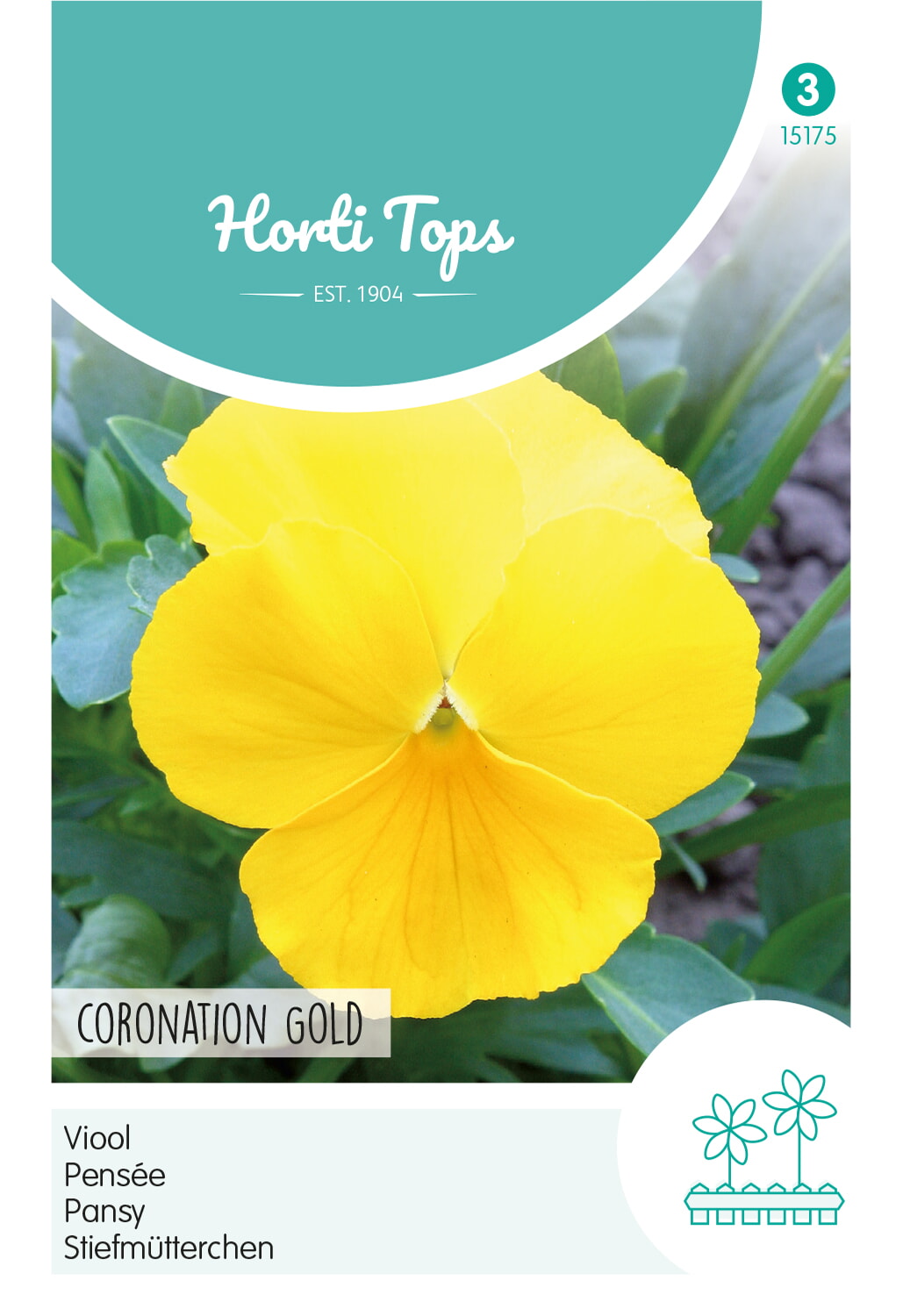 HT Viool Zaden Coronation Gold