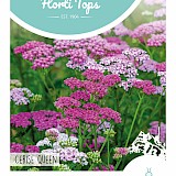 HT Duizendblad Zaden Cerise Queen