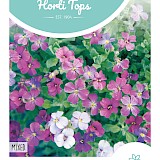 HT Aubrietia Zaden Blauwkussen Gemengd