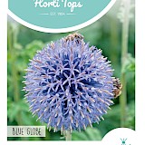 HT Kogeldistel Zaden Blue Globe