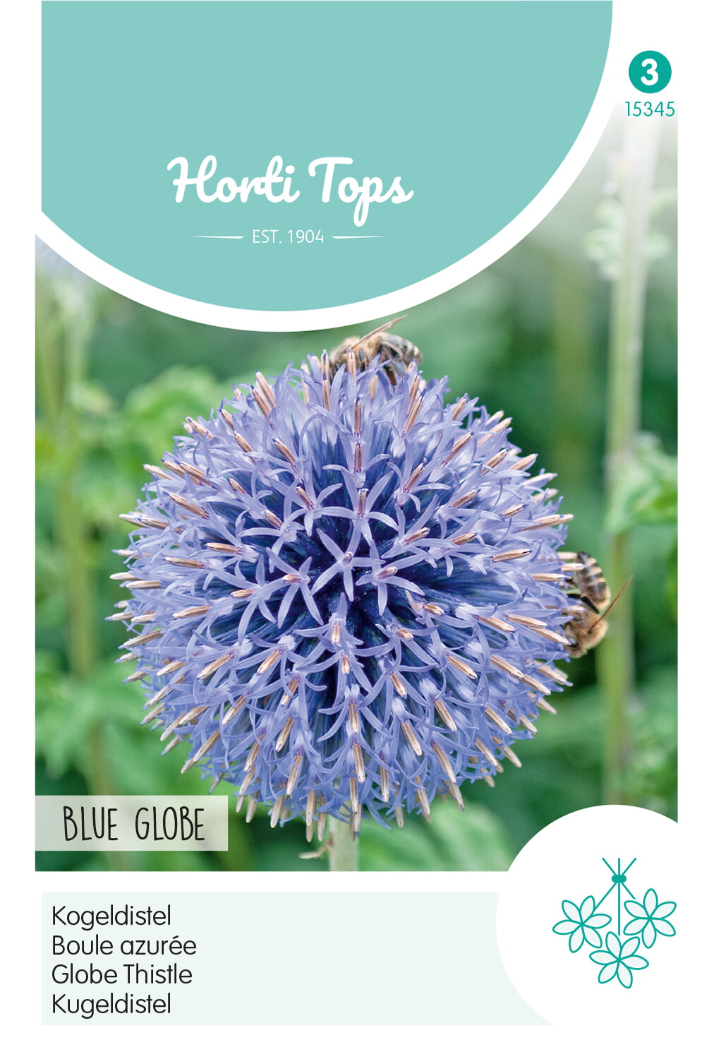 HT Kogeldistel Zaden Blue Globe