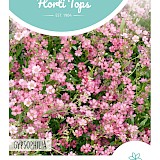 HT kruipend Gipskruid Zaden Rose