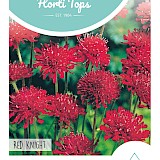 HT Macedonische Beemdkroon Zaden Red Knight