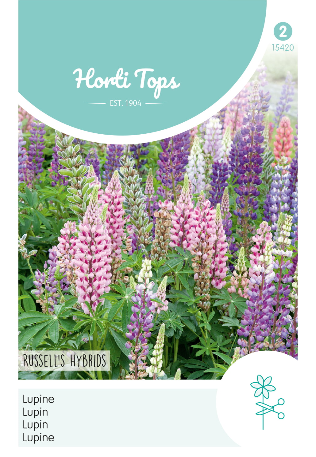 HT Lupine Zaden Russell's Hybrids Gemengd