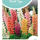 HT Lupine Zaden Minarette Gemengd