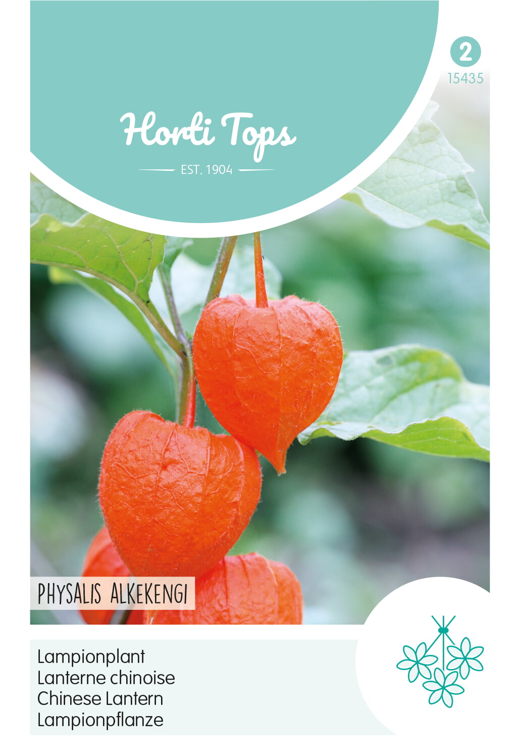 HT Lampionplant Zaden