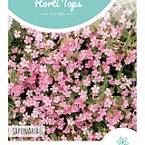 HT Zeepkruid Zaden Rose