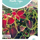 HT Siernetel Zaden Regenboogmengsel