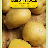 OBZ Aardappelzaad Soltastic F1 Zaden SOLHY019
