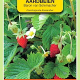OBZ Aardbeien Zaden Baron von Solemacher