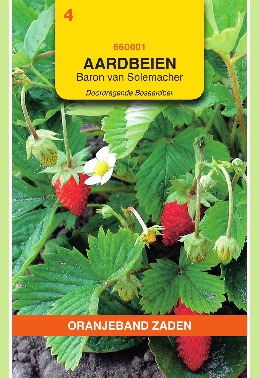 OBZ Aardbeien Zaden Baron von Solemacher