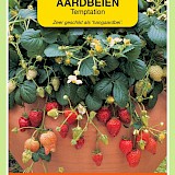 OBZ Hangaardbeien ZadenTemptation