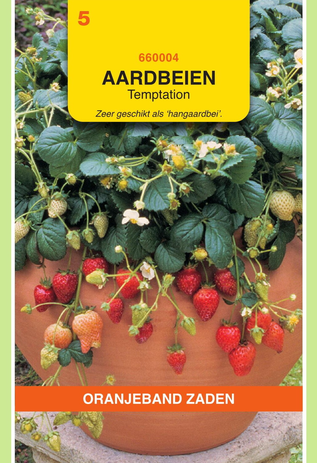 OBZ Hangaardbeien ZadenTemptation