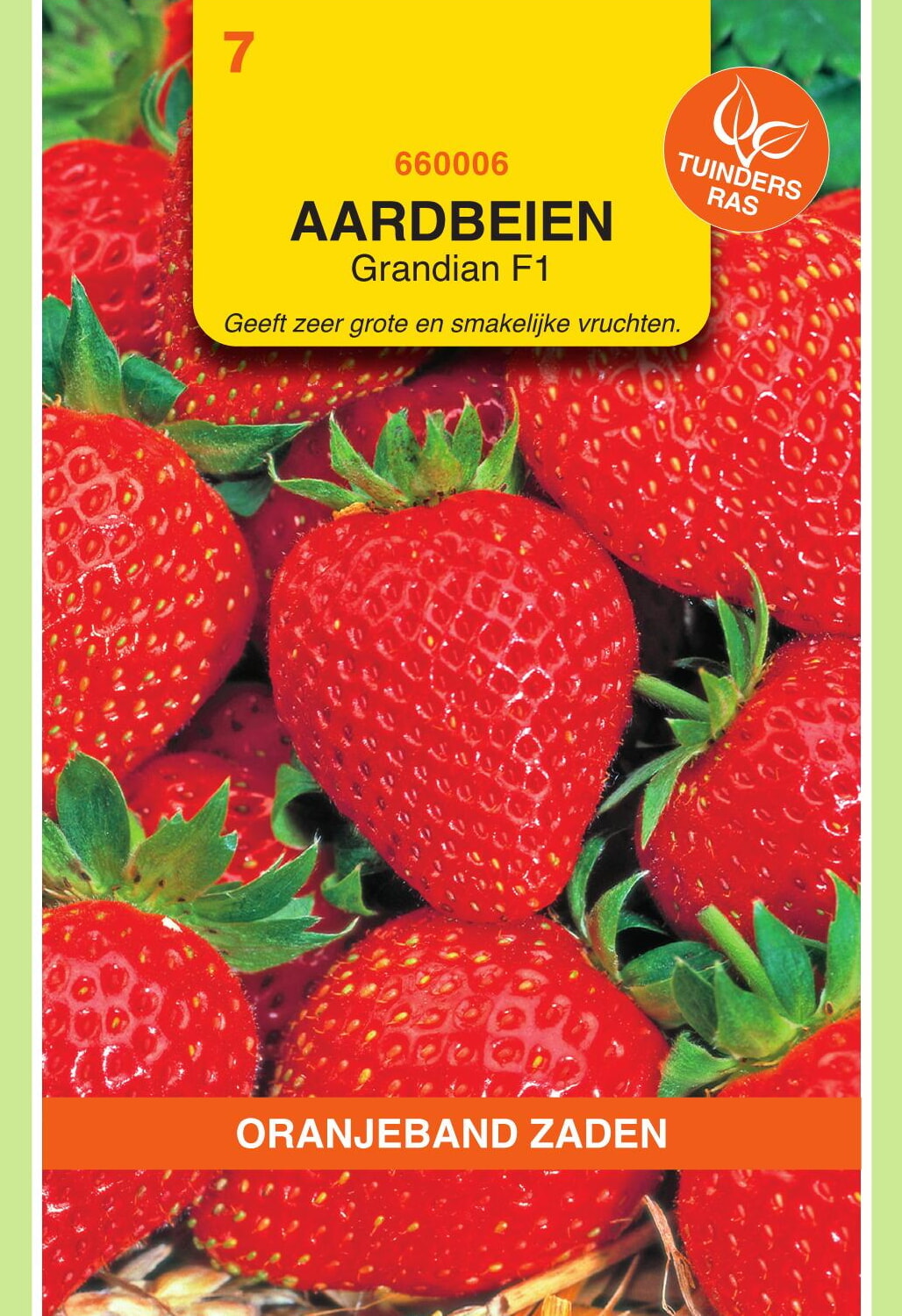 OBZ Aardbeien Zaden Grandian (vh Sarian) F1