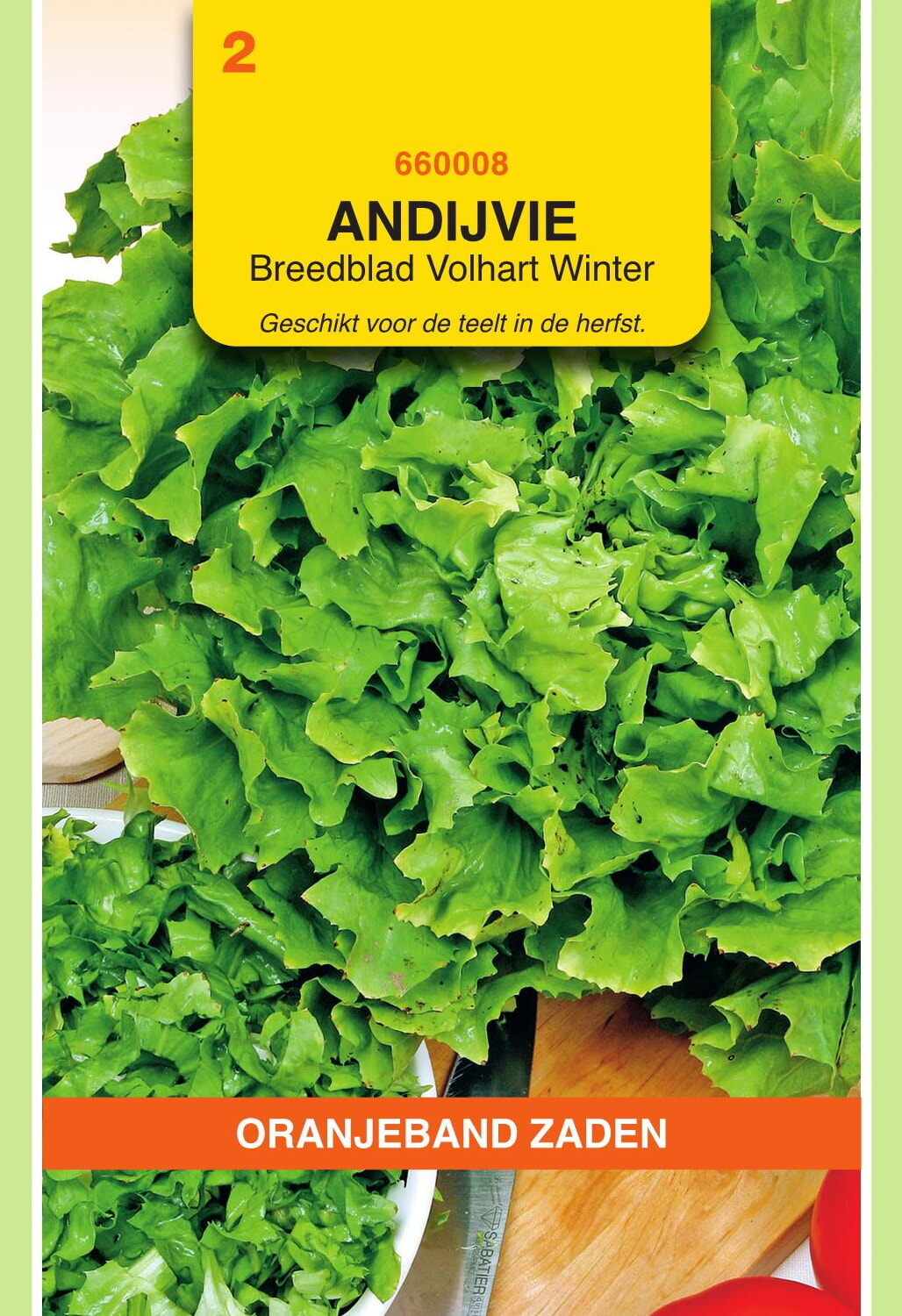 OBZ Andijvie Zaden Breedblad Volhart Winter