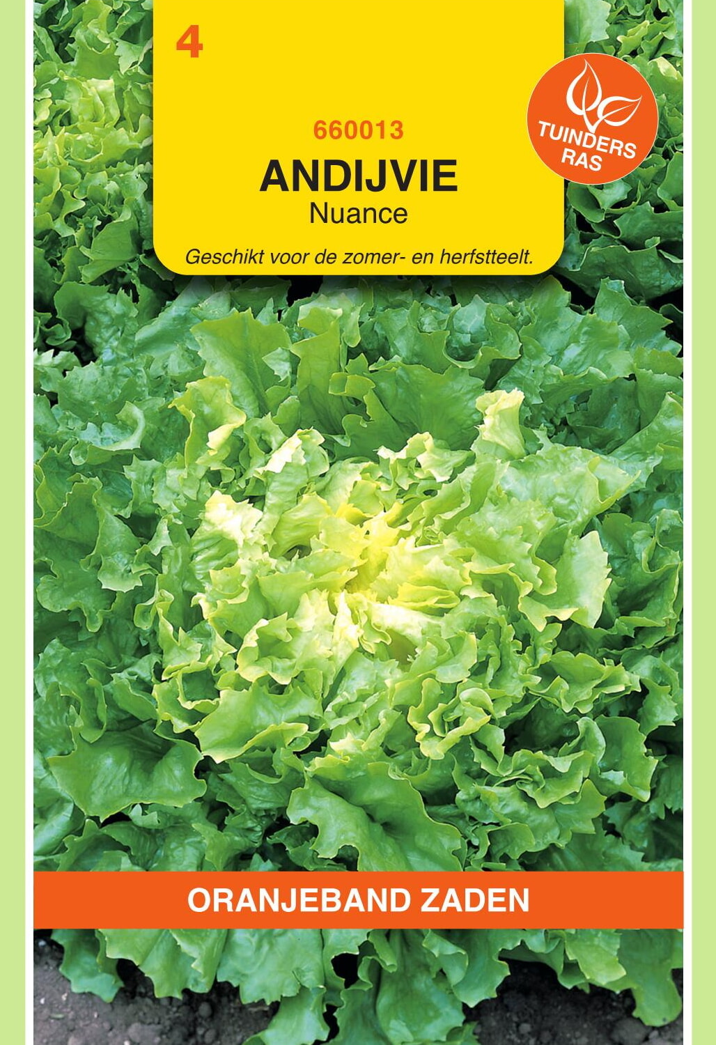 OBZ Andijvie Zaden Nuance
