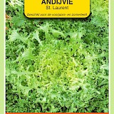 OBZ Andijvie Zaden St. Laurent