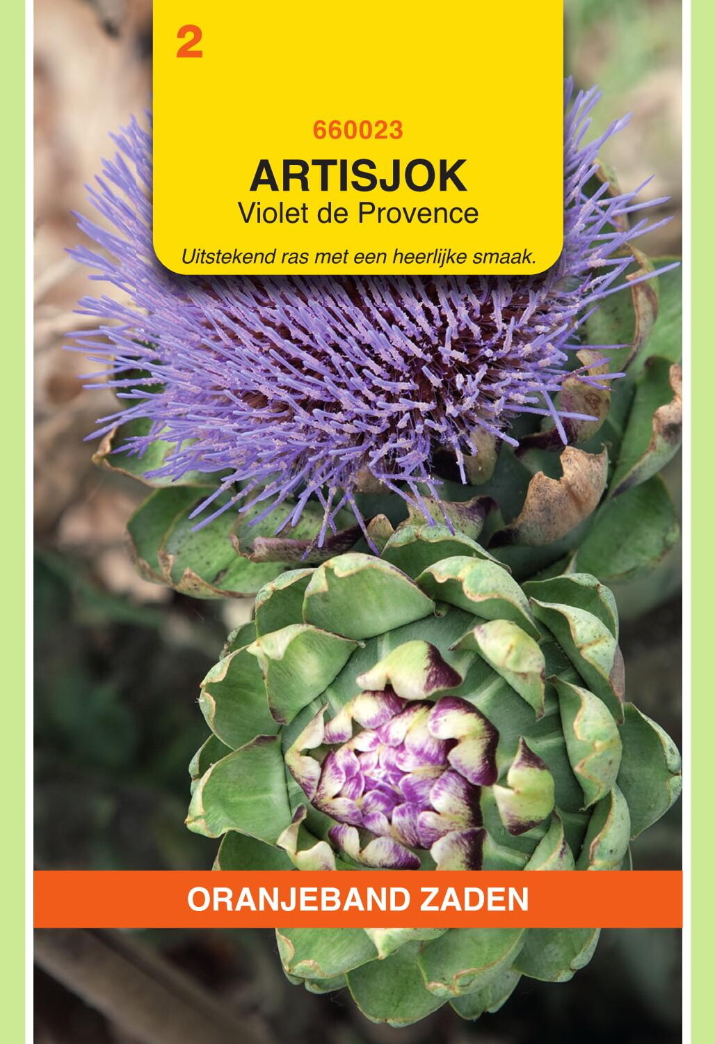 OBZ Artisjokken Zaden Violet de Provence