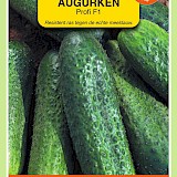 OBZ Augurken Zaden Profi F1