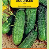 OBZ Augurken Zaden Hokus