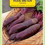 OBZ Rode Bieten Zaden Cylindra