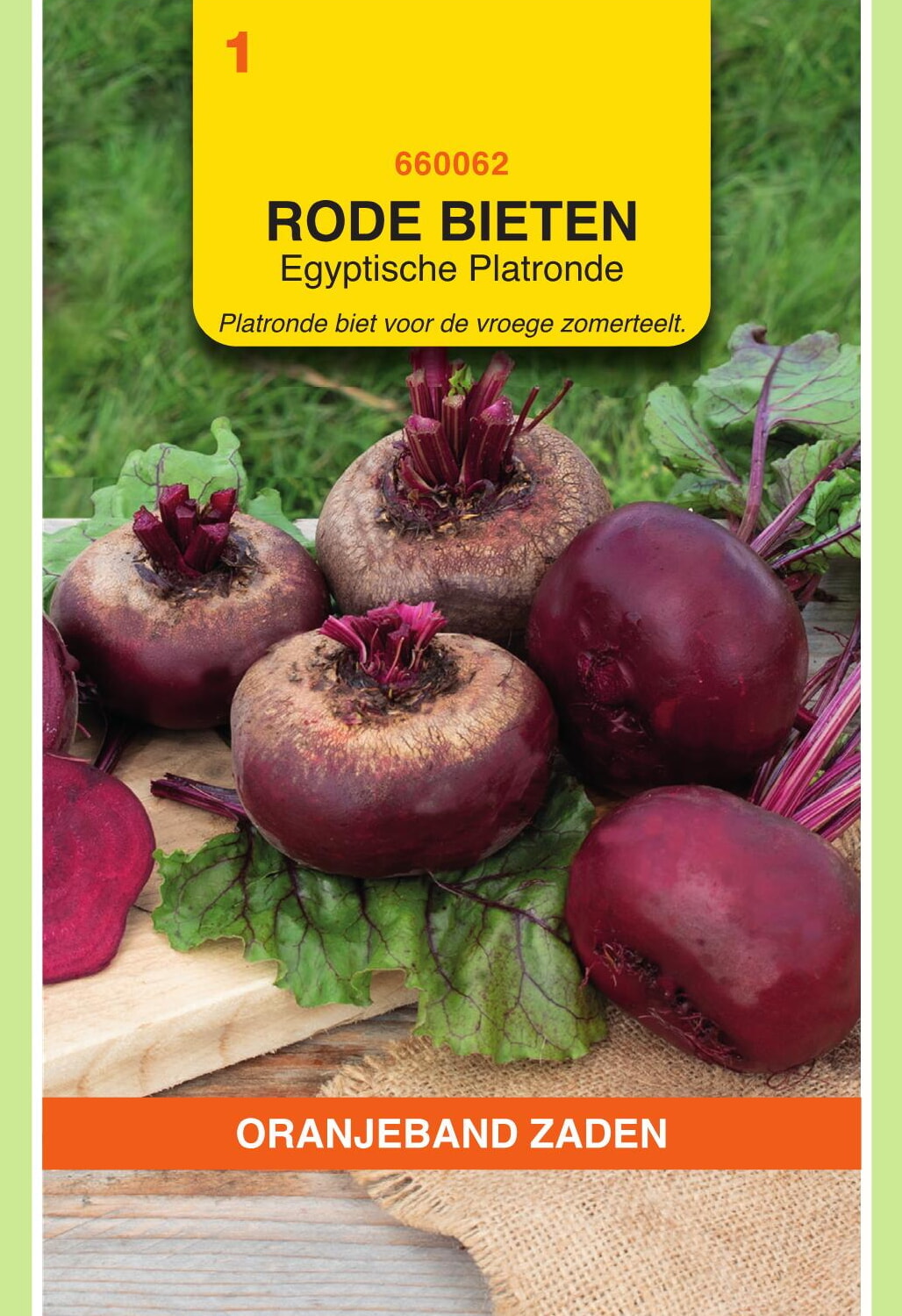 OBZ Rode Bieten Zaden Egyptische Platronde