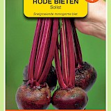 OBZ Rode Bieten Zaden Solist (Monogerm)
