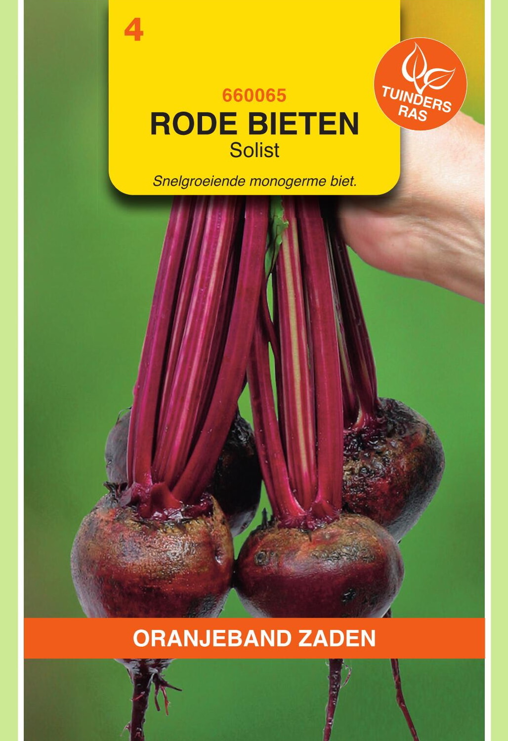 OBZ Rode Bieten Zaden Solist (Monogerm)