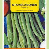 OBZ Stamslabonen Zaden Odeon 100g