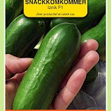 OBZ Snackkomkommer Zaden Iznik F1