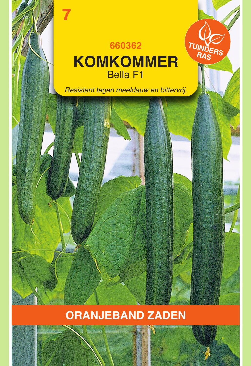 OBZ Komkommer Zaden Bella F1