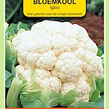 OBZ Bloemkool Zaden Igloo