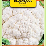 OBZ Bloemkool Zaden Clarina F1