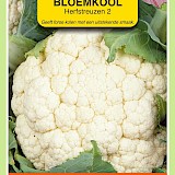 OBZ Bloemkool Zaden Herfstreuzen 2