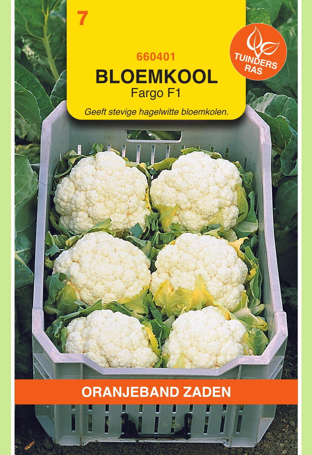 OBZ Bloemkool Zaden Fargo F1