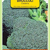 OBZ Broccoli Zaden Calabria