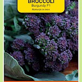 OBZ Sprouting Broccoli Zaden Burgundy F1