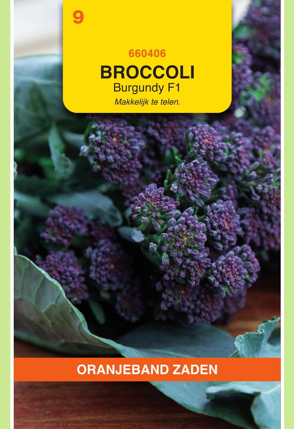 OBZ Sprouting Broccoli Zaden Burgundy F1