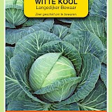 OBZ Witte Kool Zaden Langedijker Bewaar