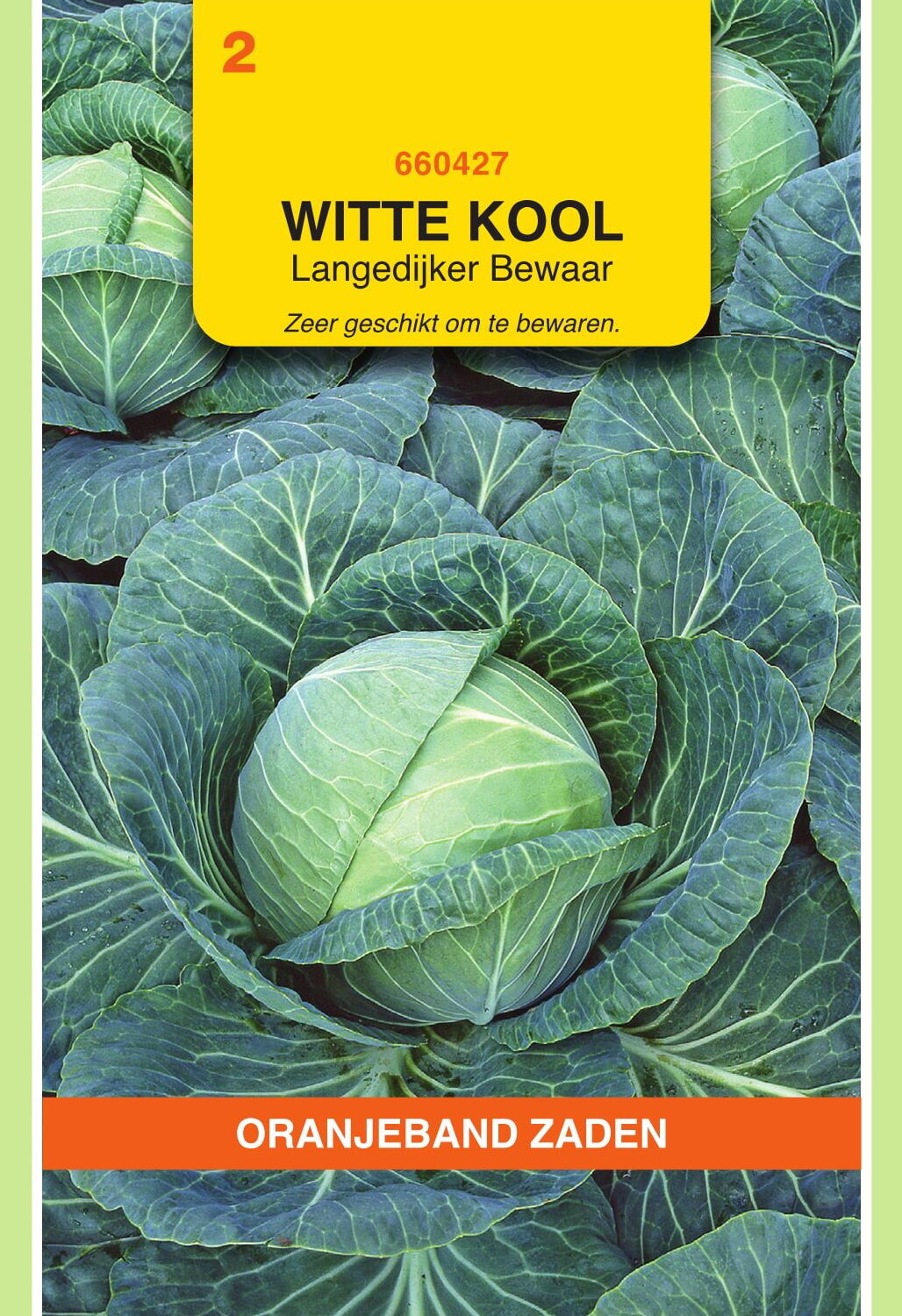 OBZ Witte Kool Zaden Langedijker Bewaar