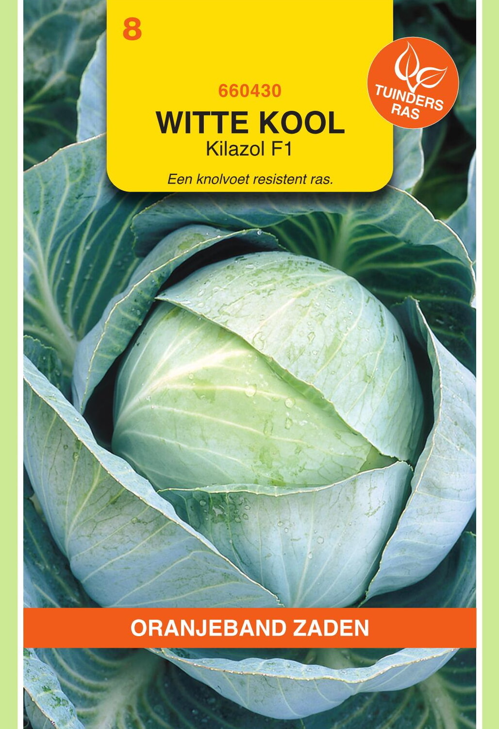 OBZ Witte Kool Zaden Kilazol F1