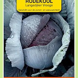 OBZ Rode Kool Zaden Langedijker Vroege