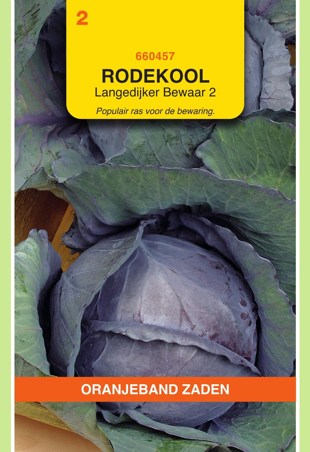 OBZ Rode Kool Zaden Langedijker Bewaar 2